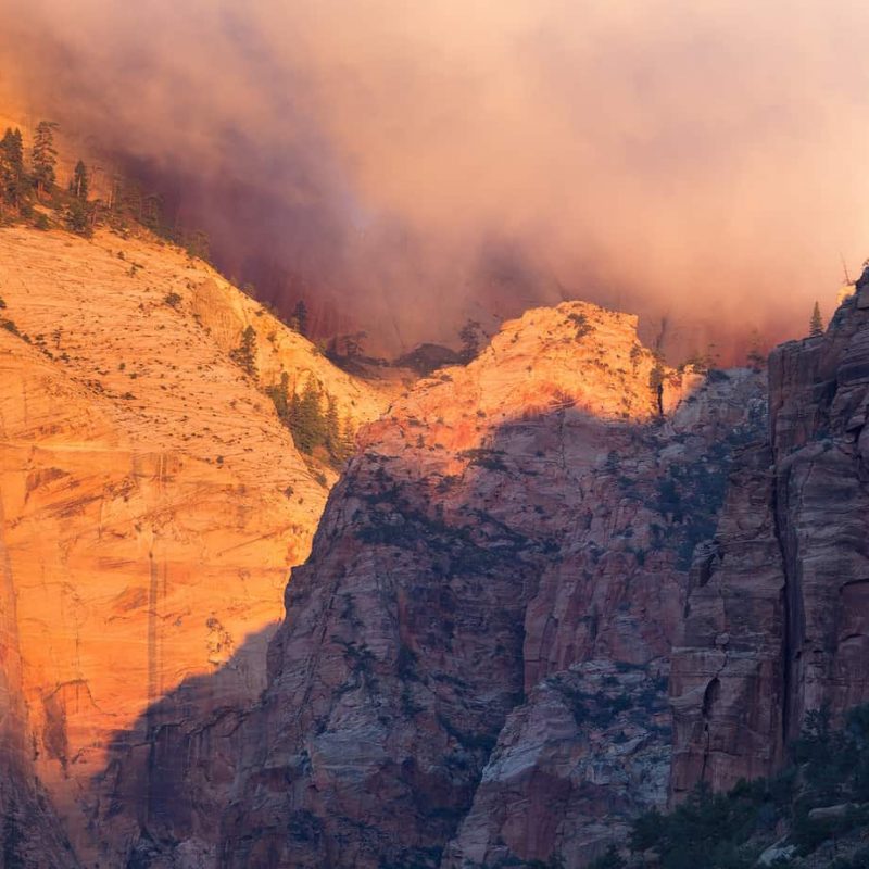 A layer of mist hangs among sandstone temples at sunrise in Zion National Park.
