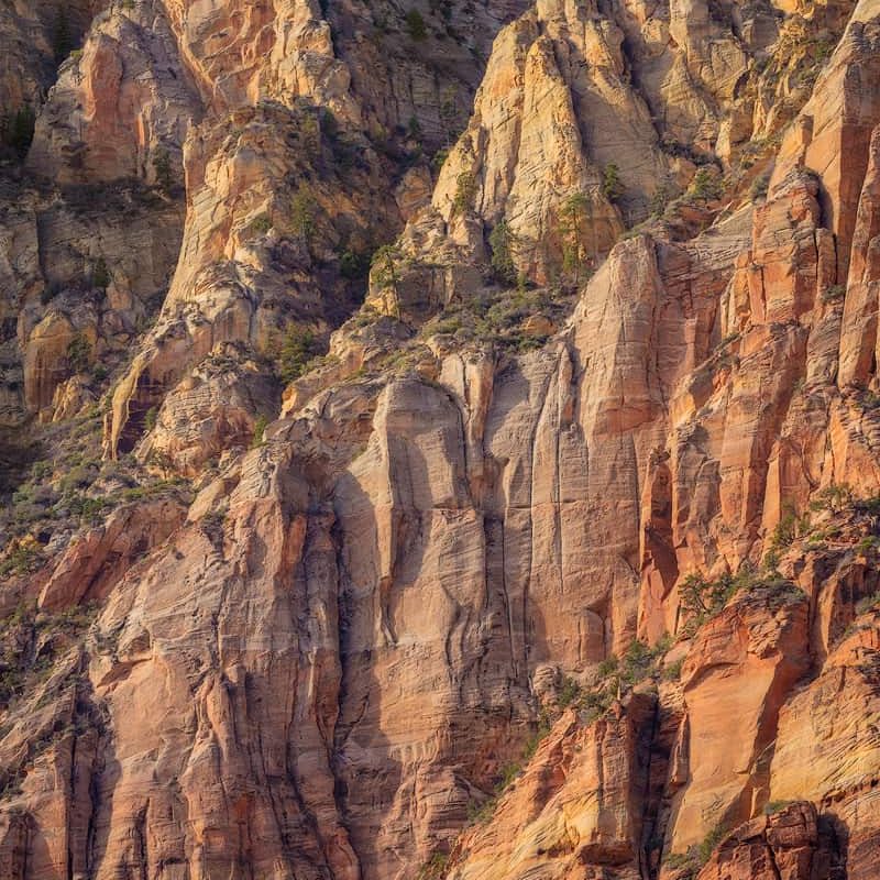 Warm morning light shines on sandstone formations in Zion National Park.