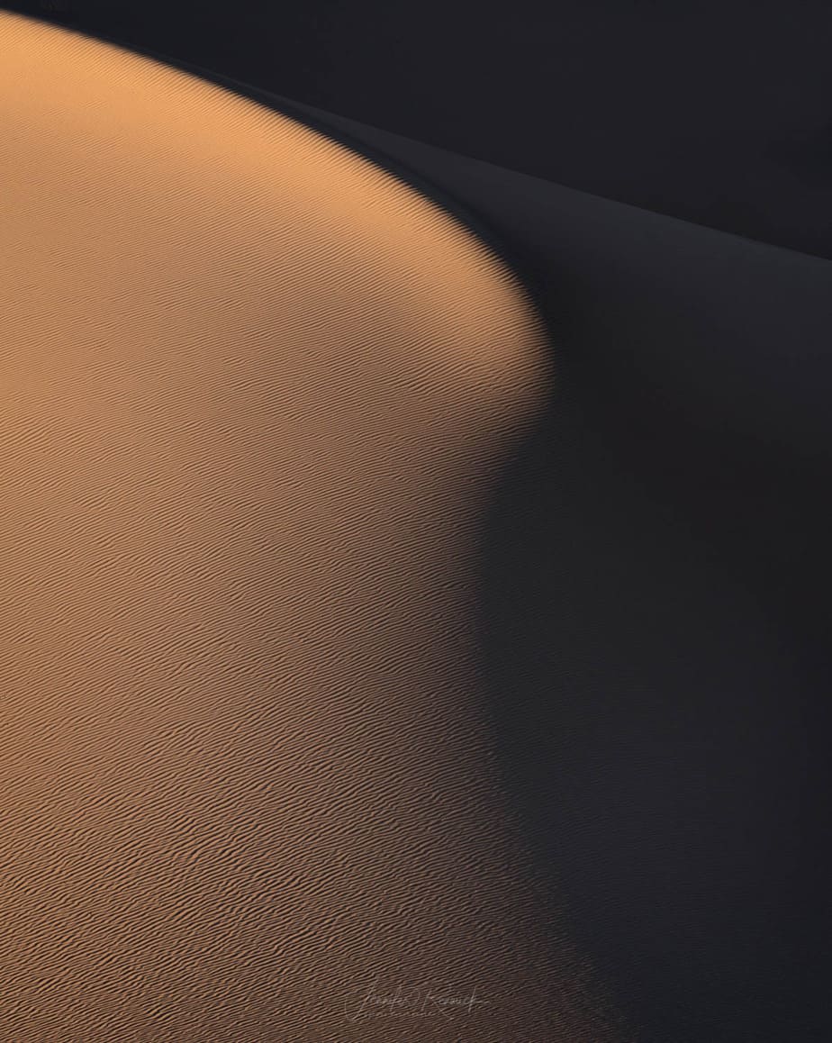 A sensuous curve of a dune catches the last light of day.